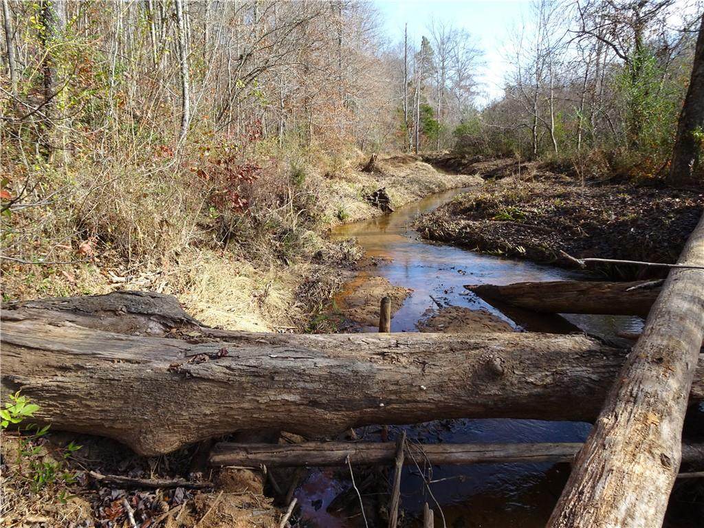 00 Seneca Springs Landing - Photo 1