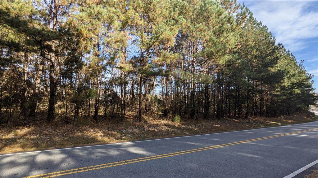 784 Perkins Creek Road - Photo 1