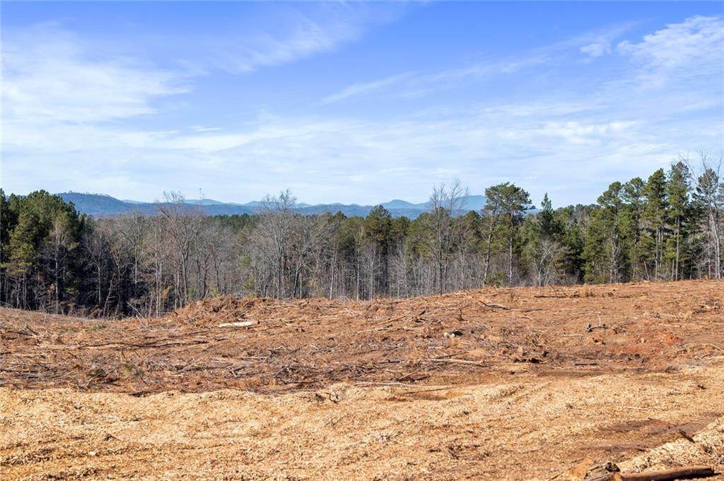 25 Acres- Poplar Springs Road - Photo 1