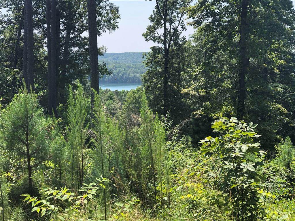 AR54 Timberbluff Way - Photo 1
