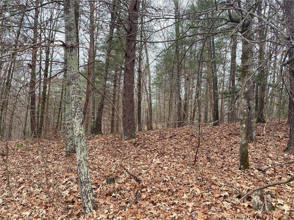 Lot 38 Ginseng Drive - Photo 1