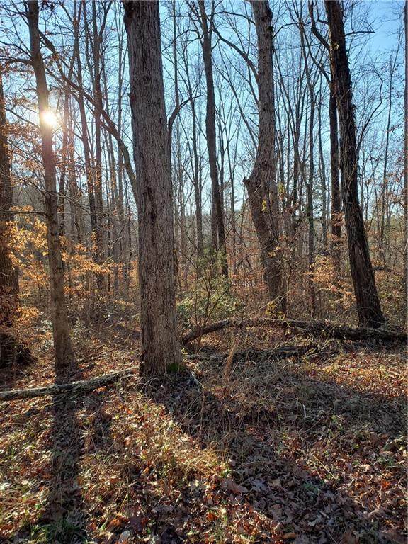 279 Tallulah Drive - Photo 1