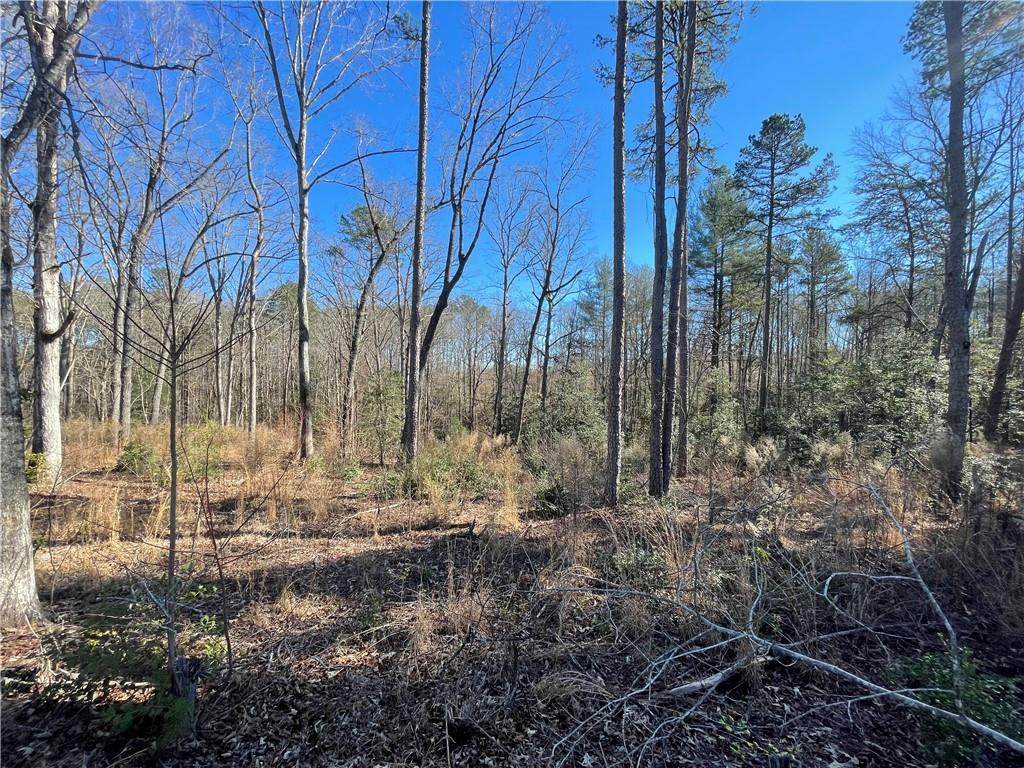 01 North Hwy 11 - Photo 1