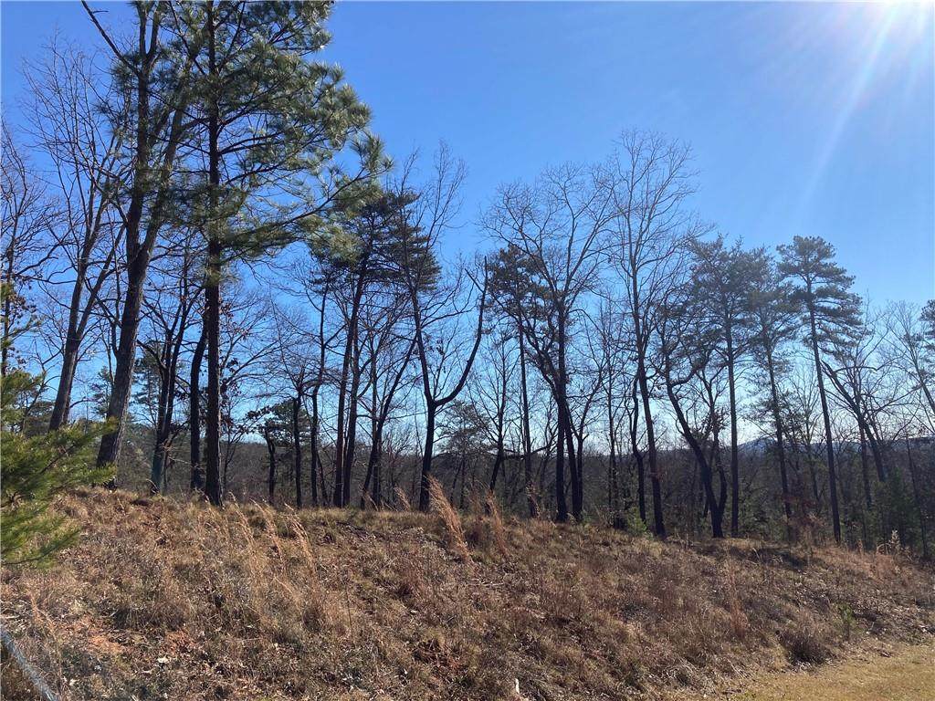 141 Parkview Lane - Photo 1