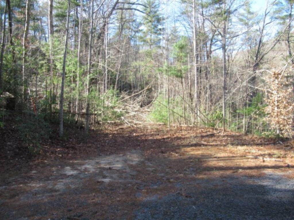120 and 126 Fireside Lane - Photo 1