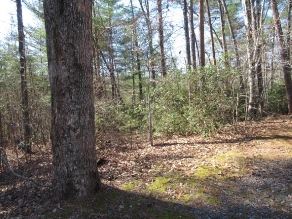 317 Whispering Falls Drive - Photo 1