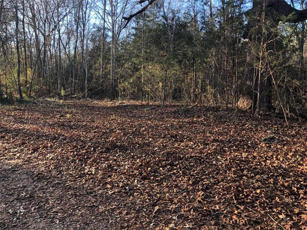 00 Flat Rock Road - Photo 1