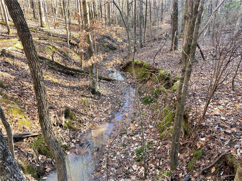 00 Lexington Highway - Photo 1