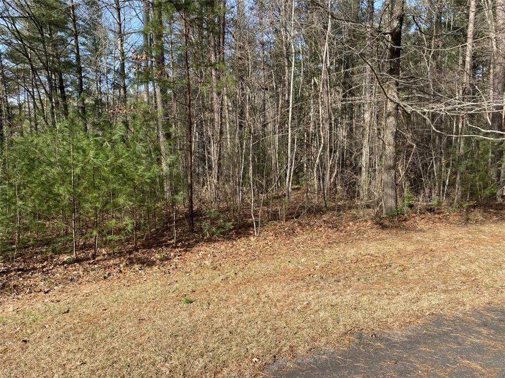 104 Summer Sweet Trail - Photo 1