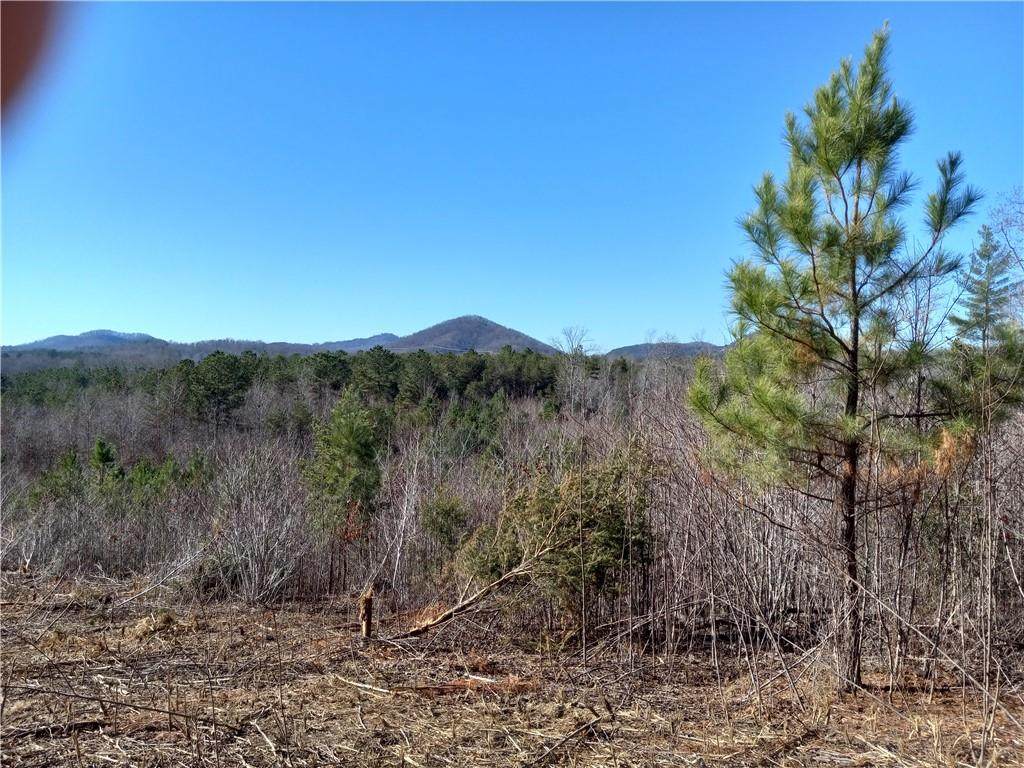 117 Mi Jan Drive - Photo 1