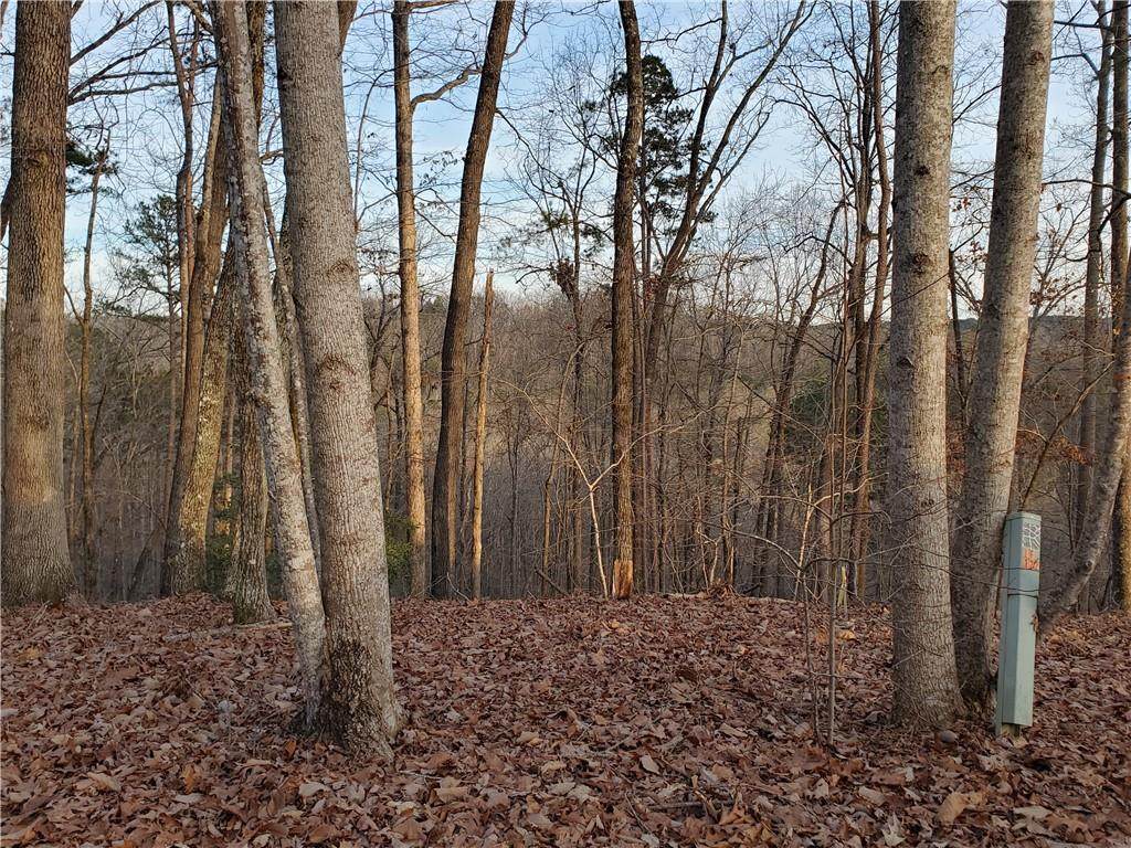 122 Summit Pine - Photo 1
