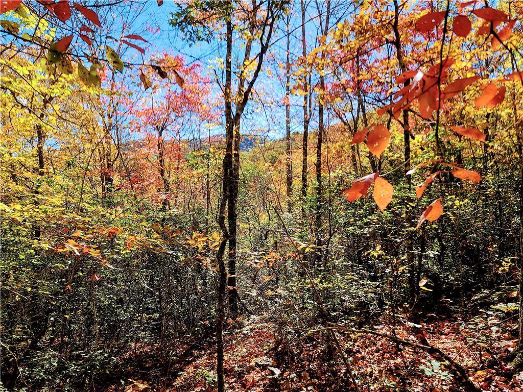 435 Bettys Creek Road - Photo 1