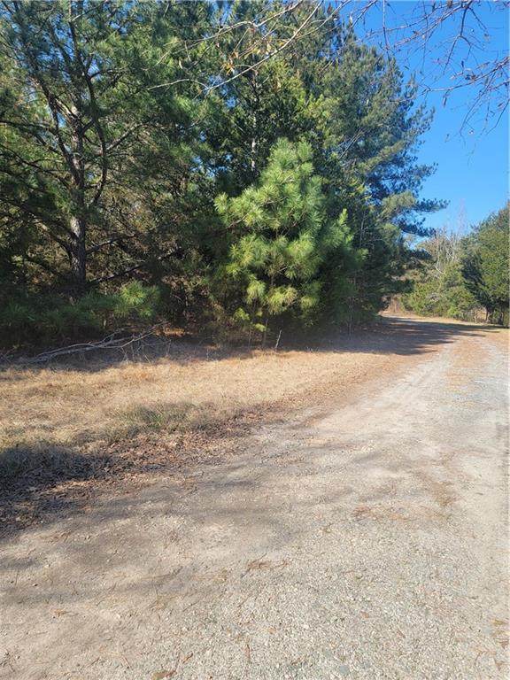 220 Sarah Simpson Road - Photo 1