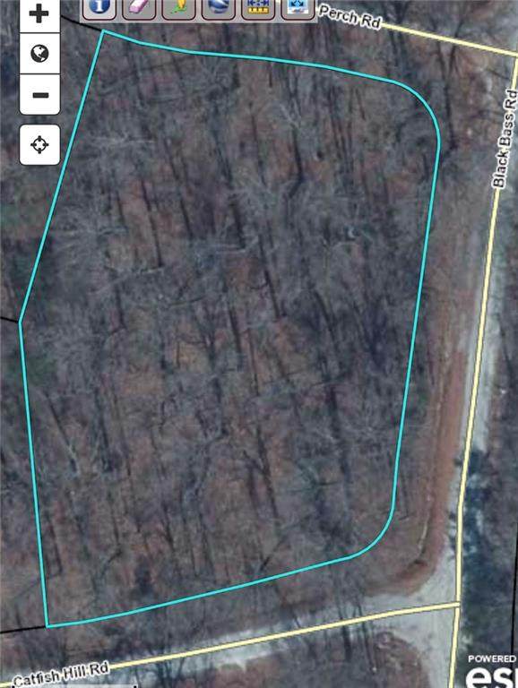 678-681 4 Lots Black Bass Road - Photo 1