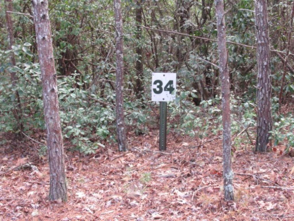 15 Matthews Creek Lane - Photo 1