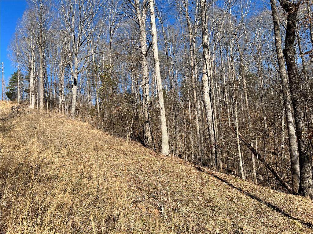 Lot 526 Pine Ridge Drive - Photo 1