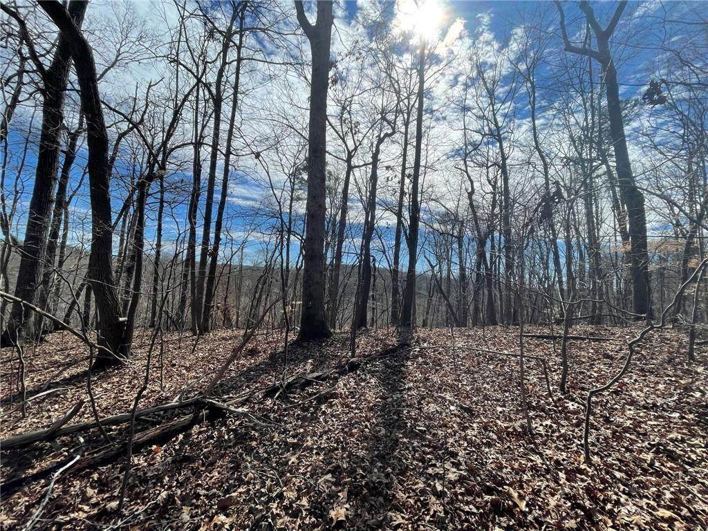 Lot 1657 Point Road - Photo 1