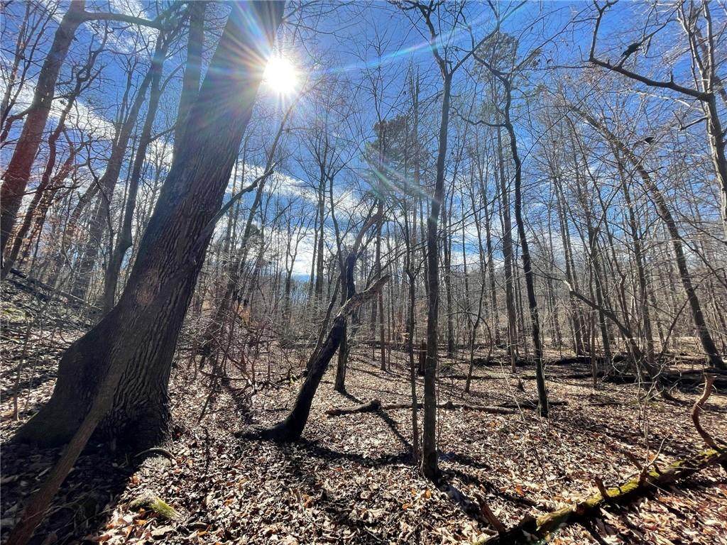 Lot 411 Birch Court - Photo 1