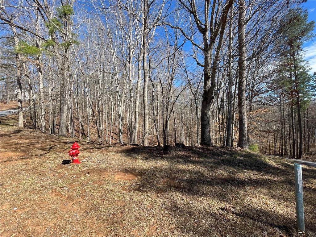 Lot 606 Laurel Drive - Photo 1