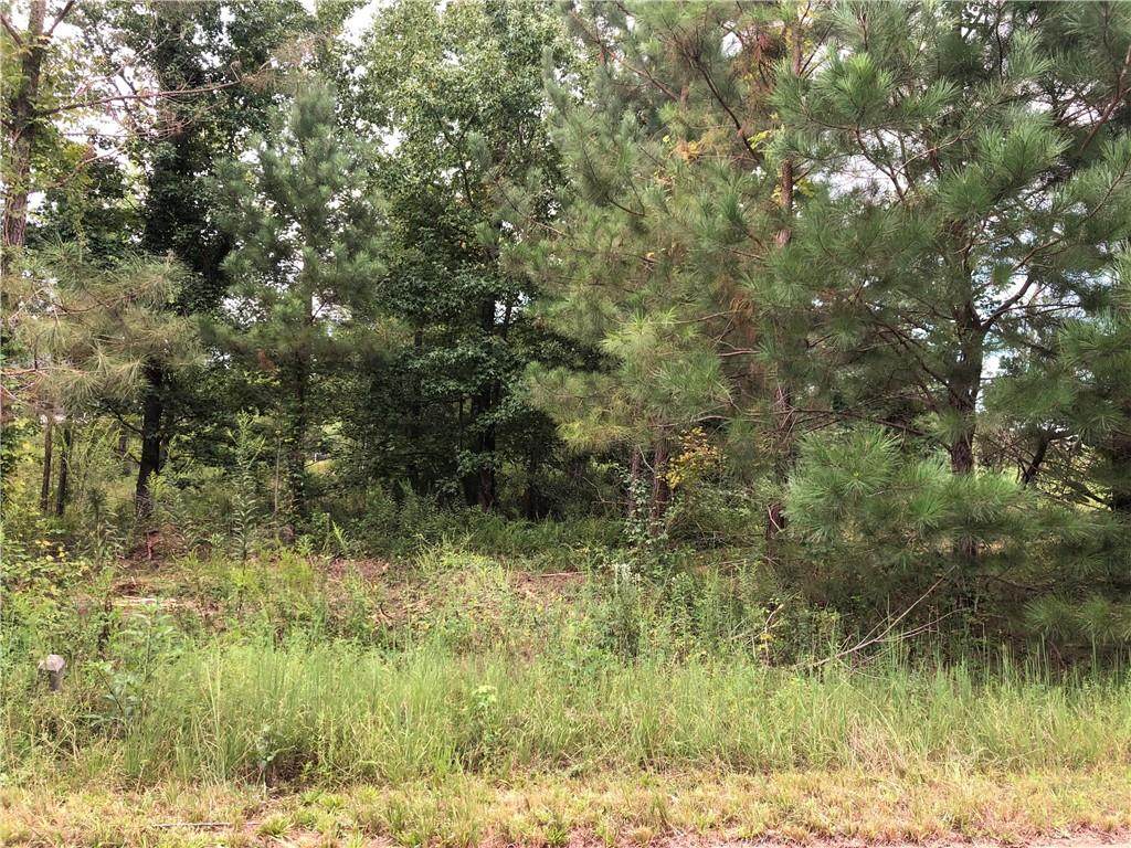 lot 59 Twin View Drive - Photo 1