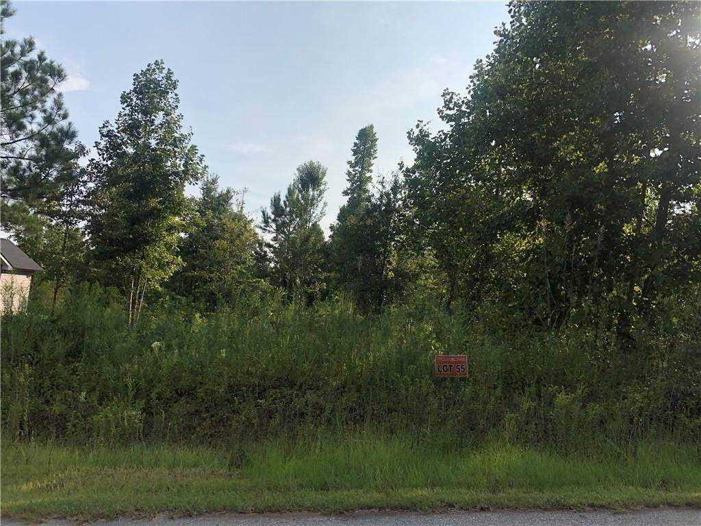 lot 60 Twin View Drive - Photo 1