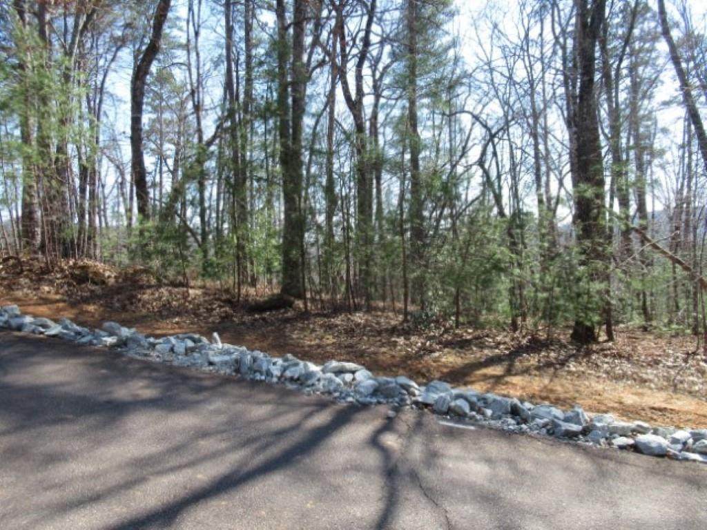 115 Oolenoy Court - Photo 1