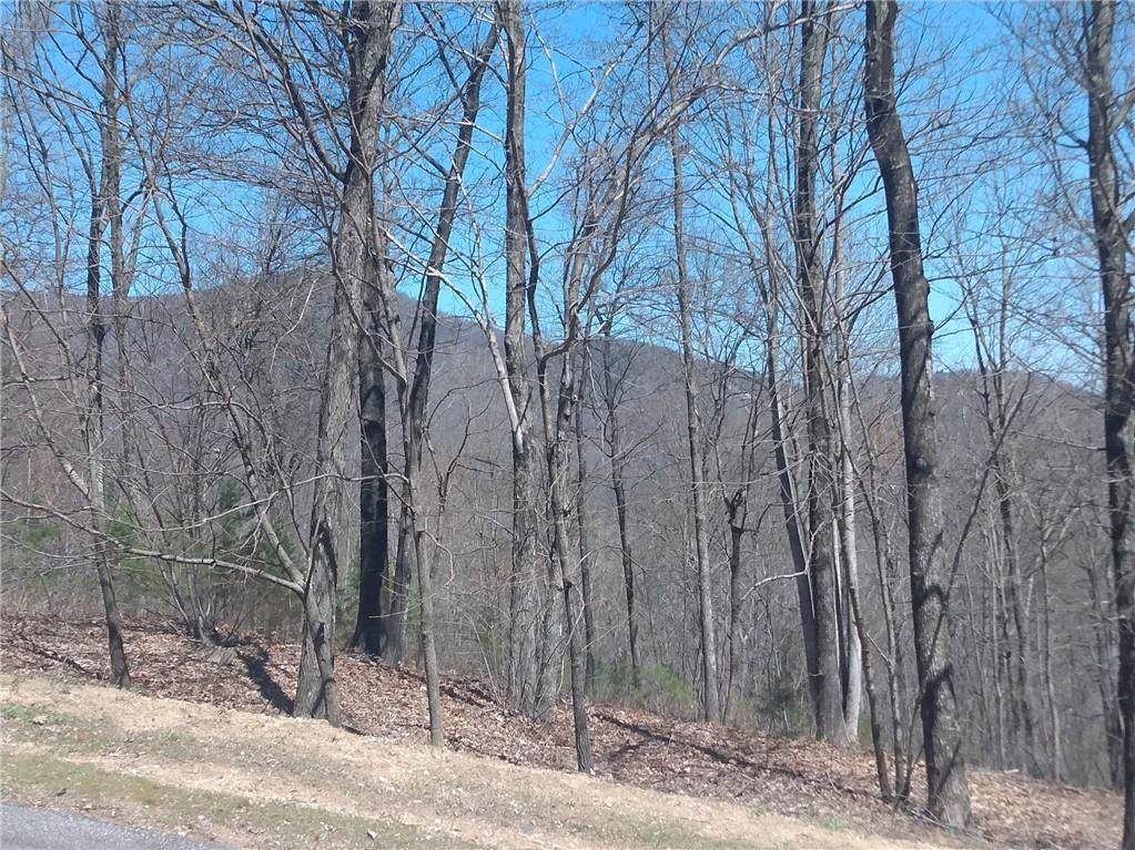 117 Outlook Ledge - Photo 1