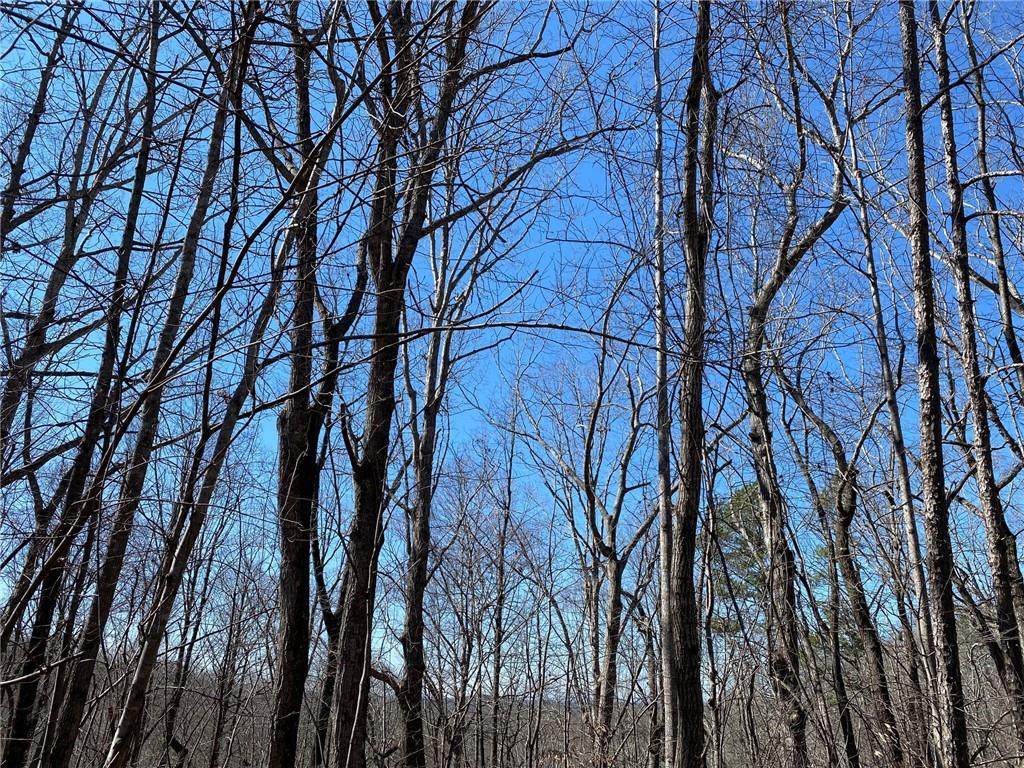 Lot 2287 Chickory Court - Photo 1