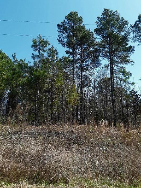 209 Wilson Creek Drive - Photo 1