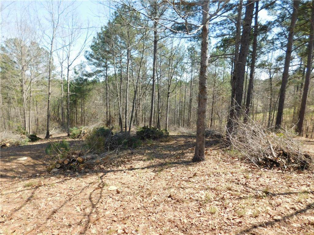 306 Eagle's Bend Trail - Photo 1