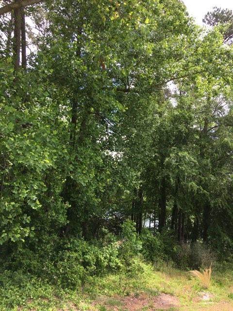 911 Arrowhead Drive - Photo 1