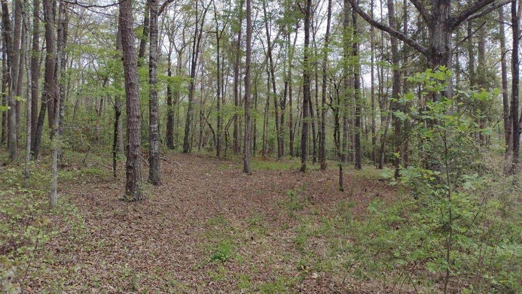 306 Rocky Springs Drive - Photo 1