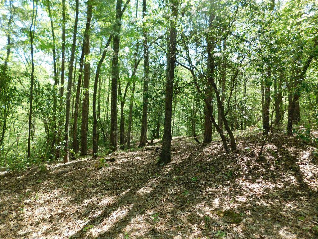 250 Cliffs Falls Parkway - Photo 1