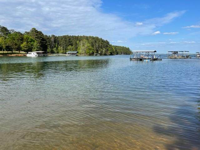 0 Lake Pointe Road - Photo 1