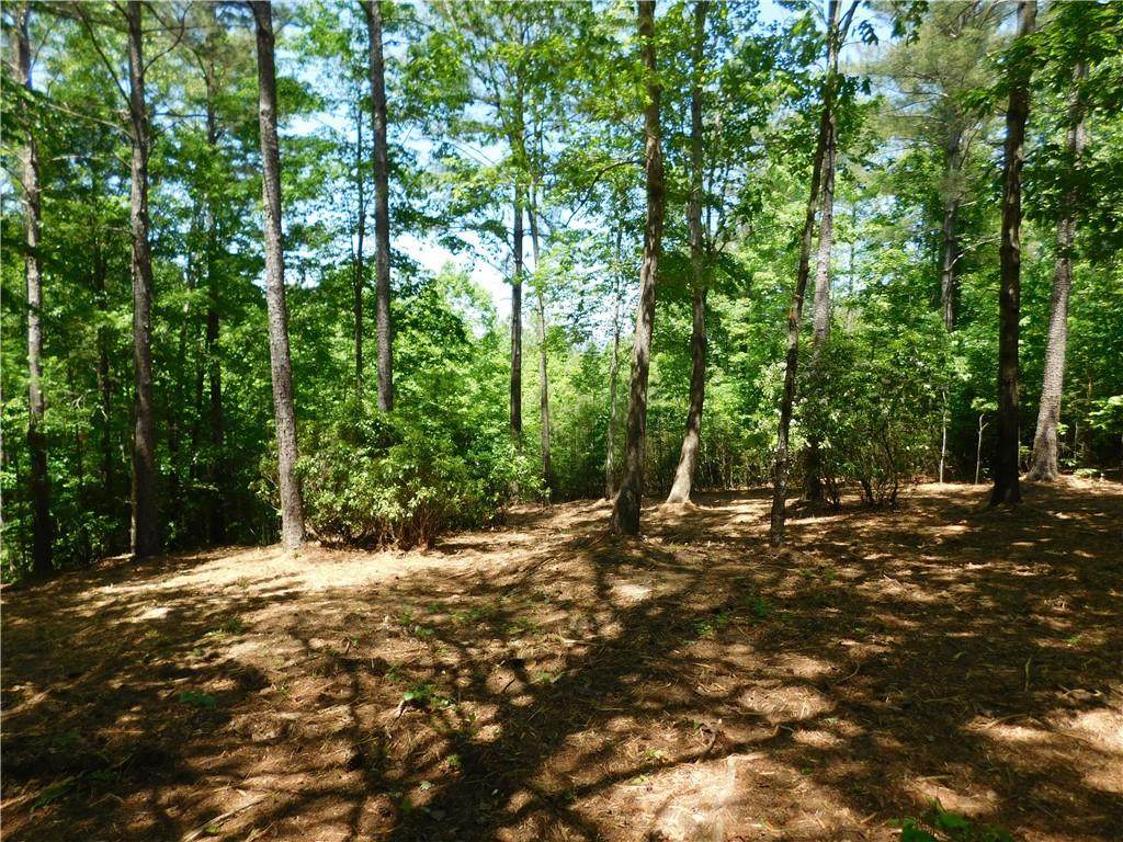 392 Cliffs South Parkway - Photo 1
