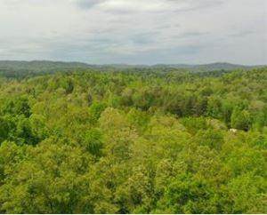 00 Beiman Long Road - Photo 1
