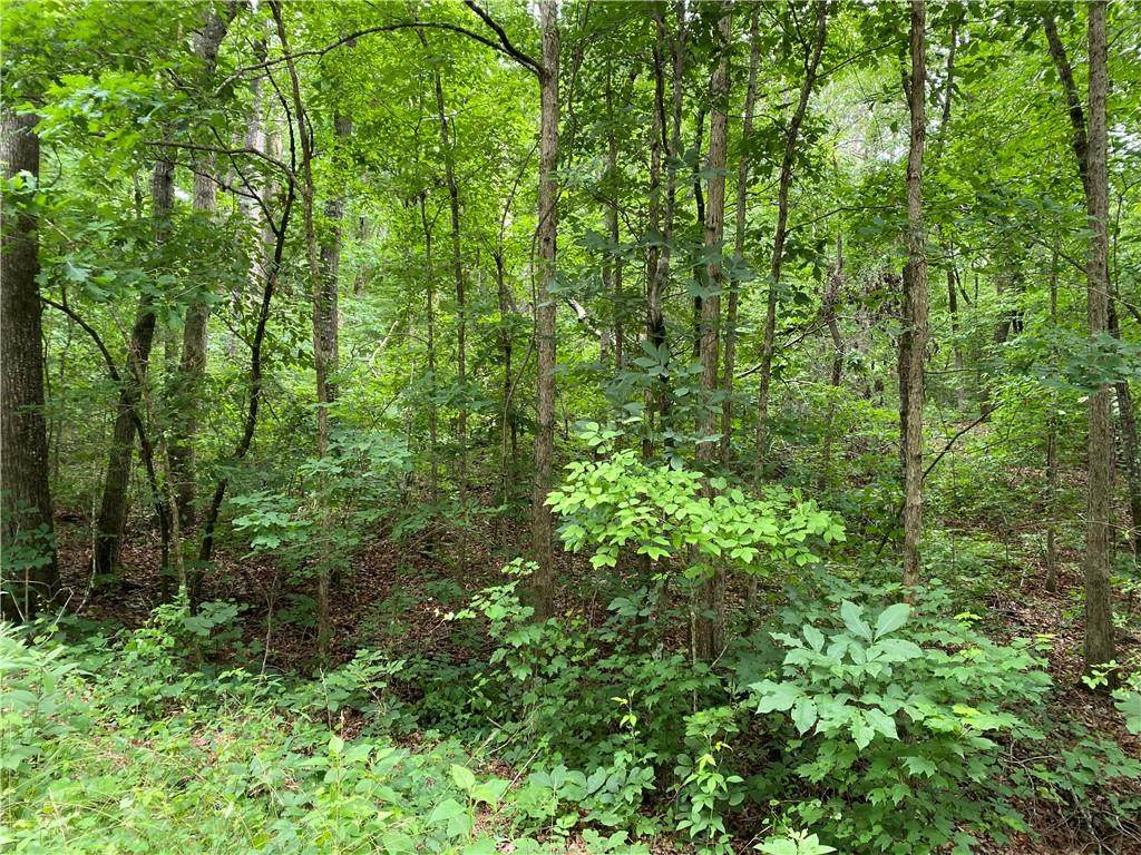 Lot 105 Timber Ridge Trail - Photo 1