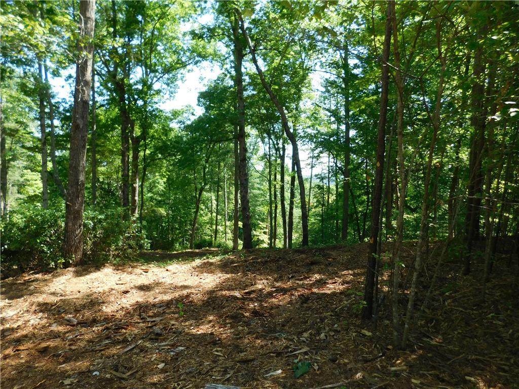 Lot 93 Woodlake Way - Photo 1