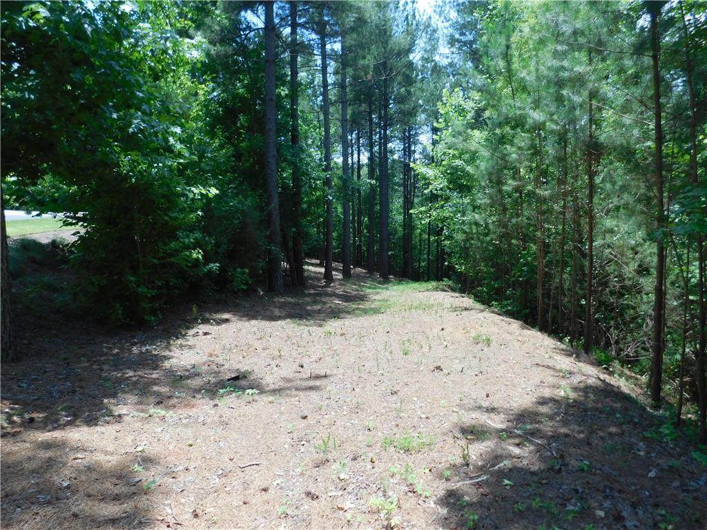 309 Broadleaf Court - Photo 1