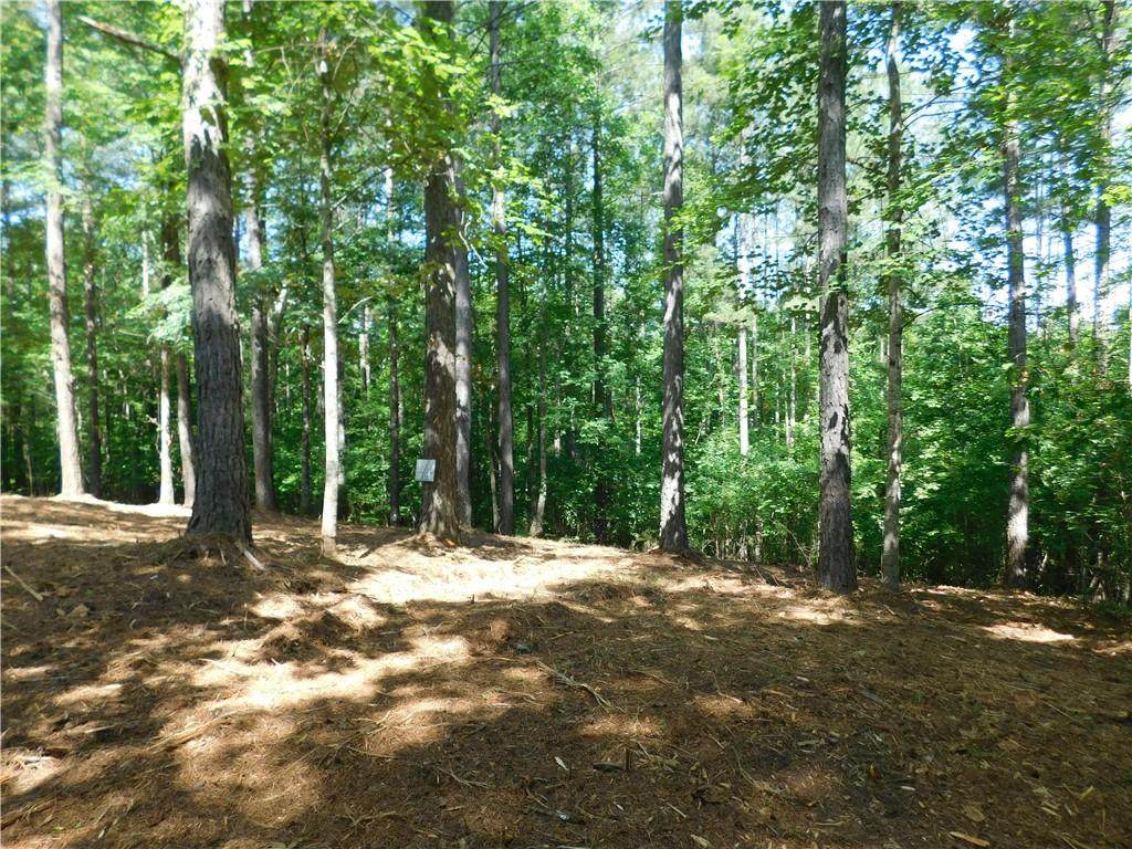 527 Brookgreen Trail - Photo 1