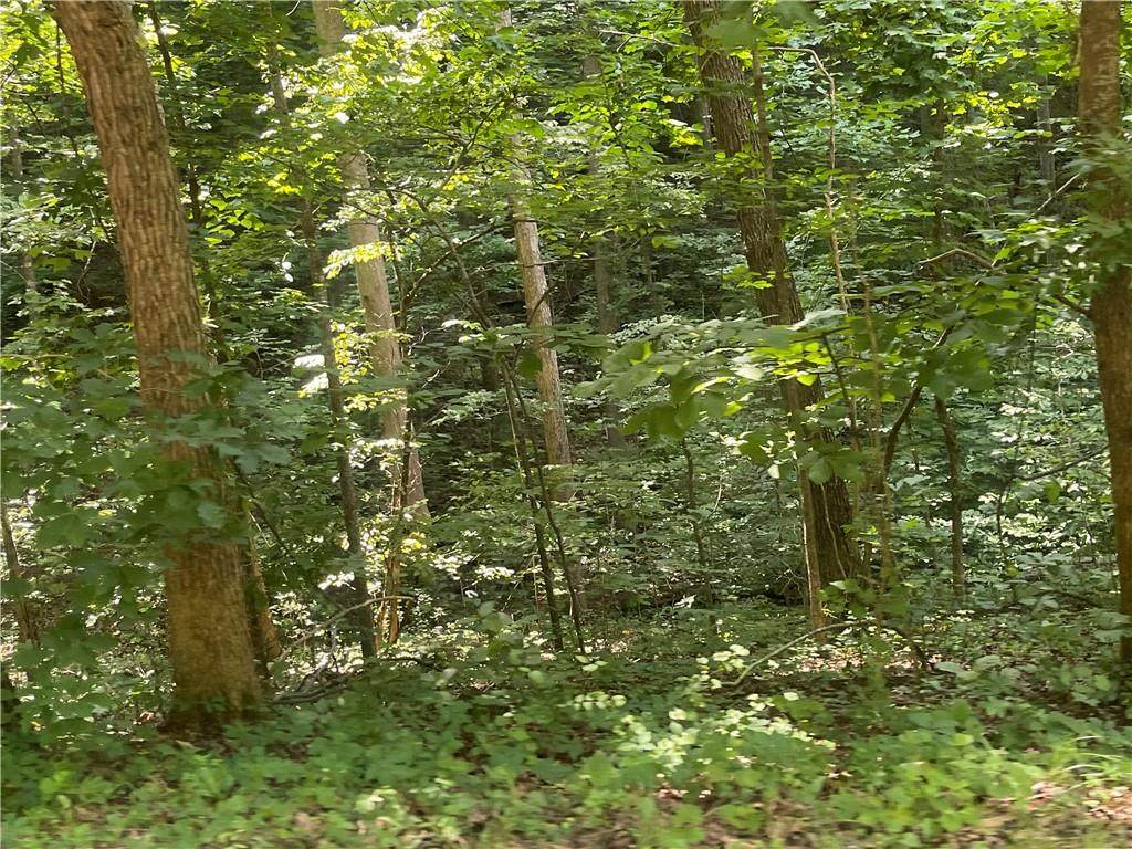 512 Hickory Trail - Photo 1