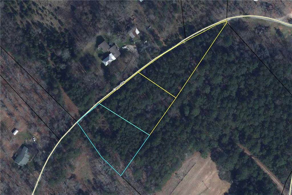 Lot 1-3 Capps Road - Photo 1