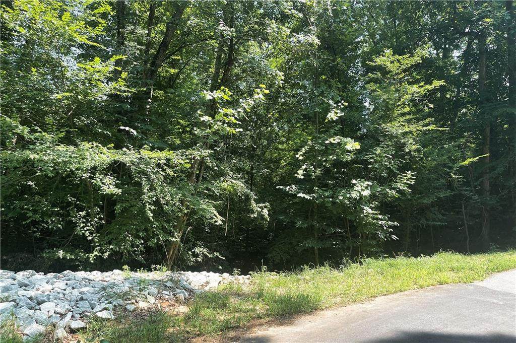 XX Shelor Ferry Road - Photo 1