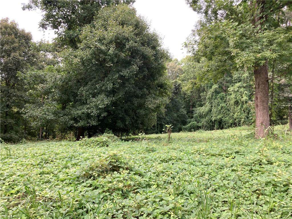 73 AC On Todd Quarter Road - Photo 1