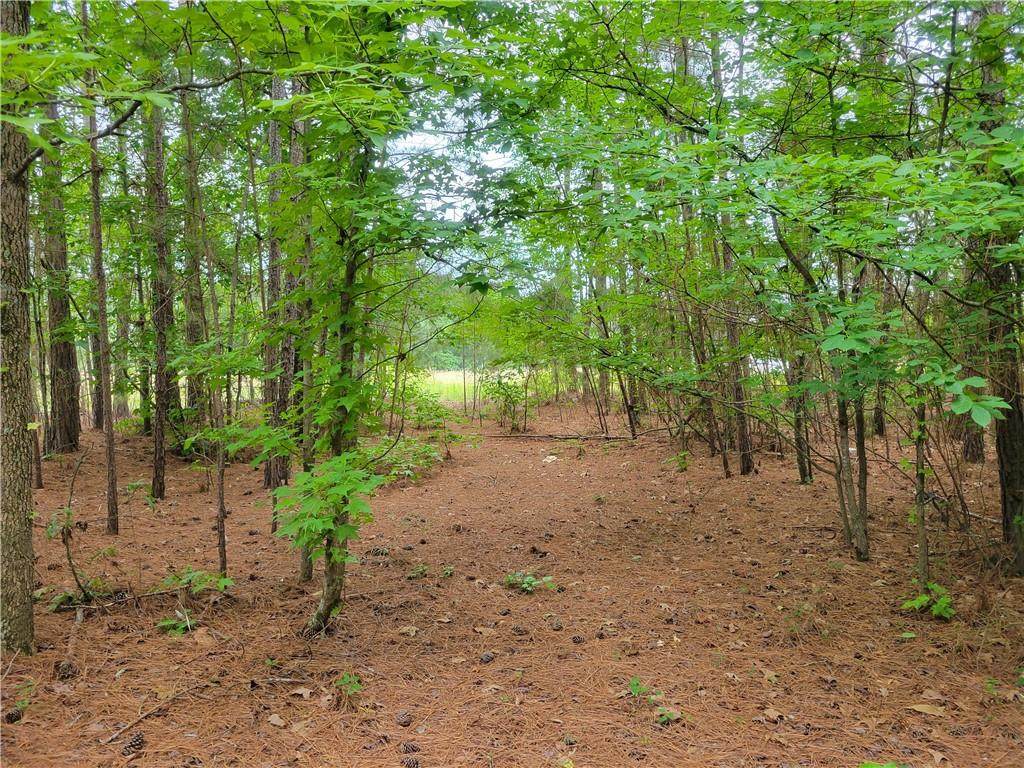 2709 Broadway Lake Road - Photo 1