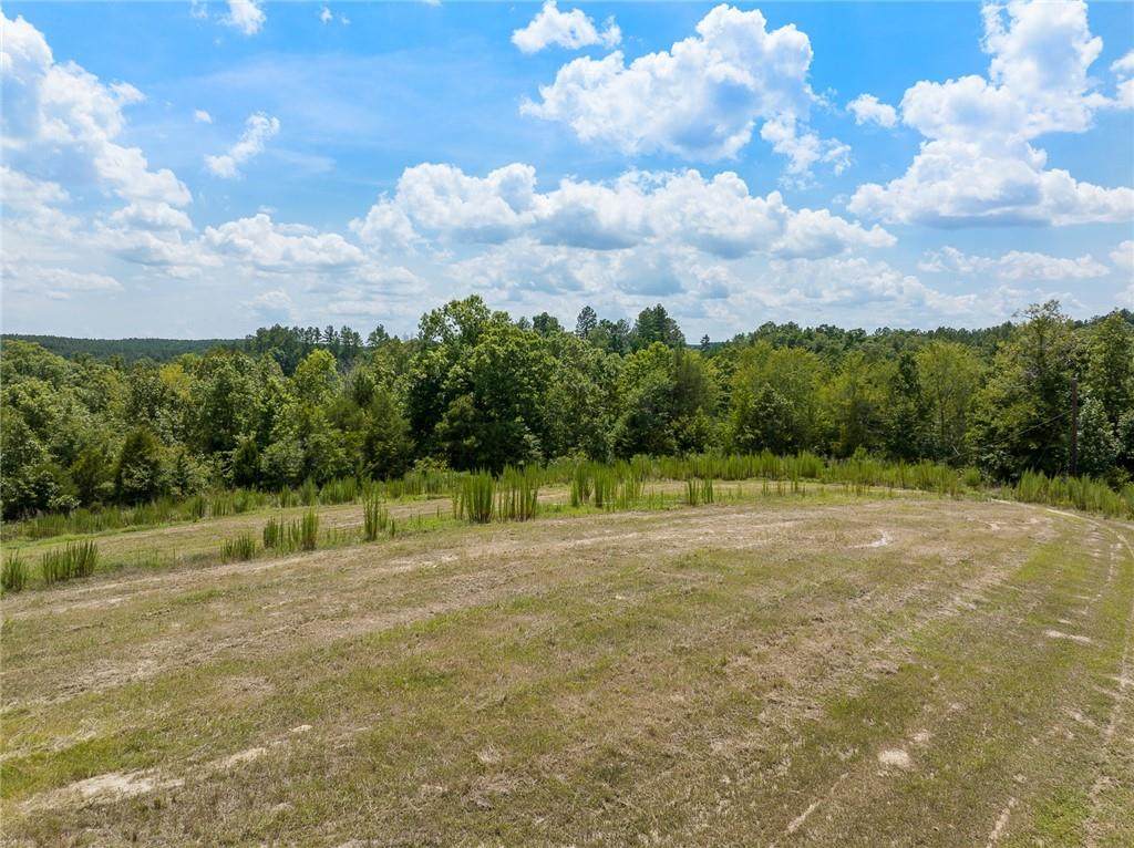 765 Catfish Cove Road - Photo 1