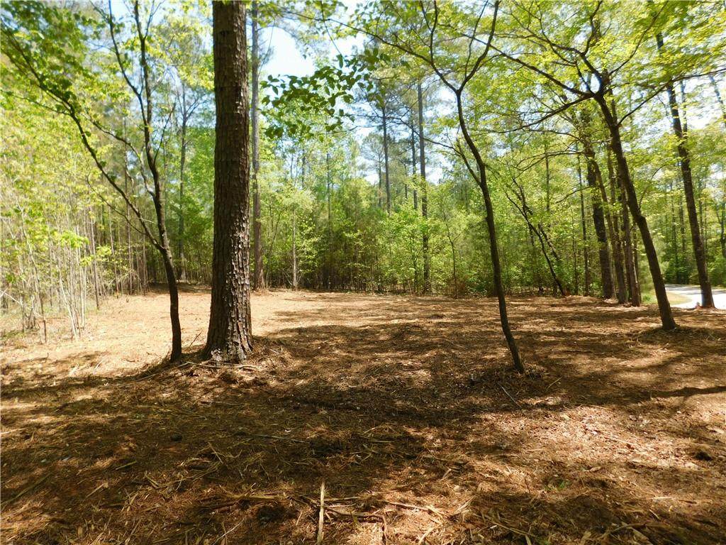 206 Smooth Rock Court - Photo 1