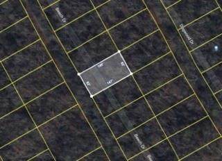 323 Beech Drive - Photo 1
