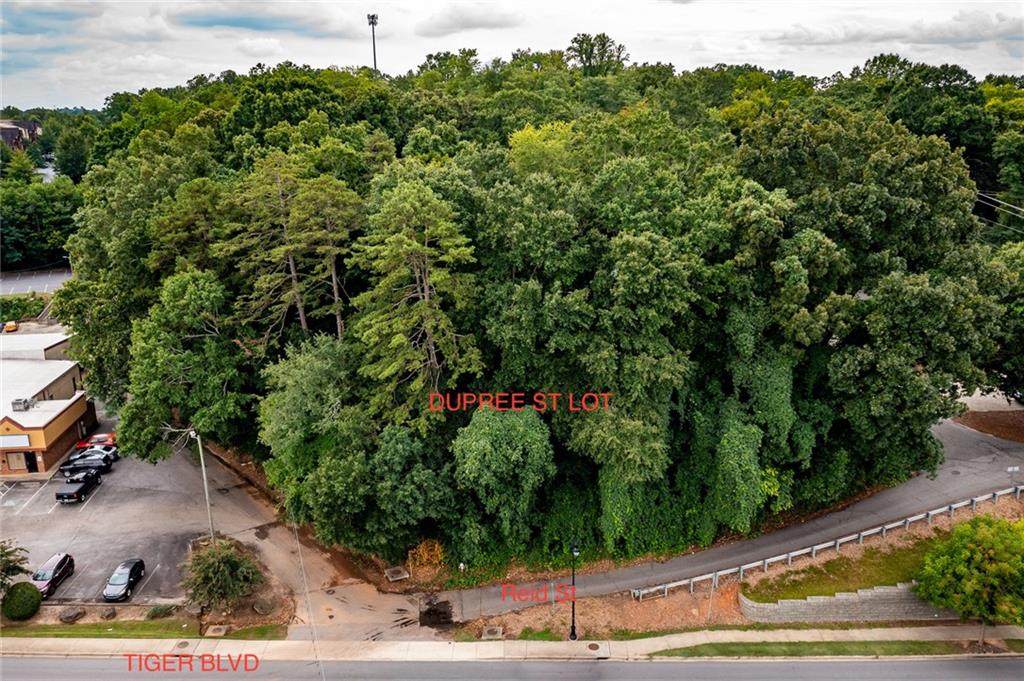 101 Dupree Street - Photo 1