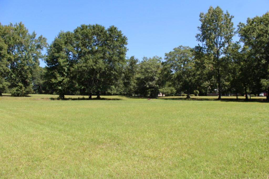 Lot B Sam Drive - Photo 1